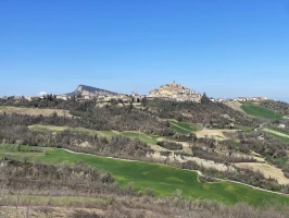 Anello Gravel, Rotella - Force