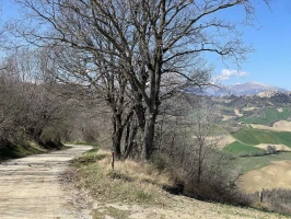 Il Cammino dei Cappuccini - Bike - Tappa 6