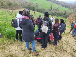 Enoturismo a Carassai