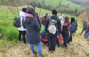 Enoturismo a Carassai